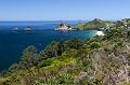 NZ-28-Bertsch-2016