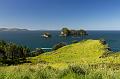 NZ-29-Bertsch-2016