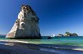 NZ-31-Bertsch-2016