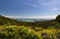 NZ-32-Bertsch-2016