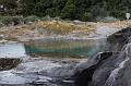 NZ-36-Bertsch-2017