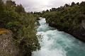 NZ-38-Bertsch-2017