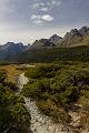 NZ-60-Bertsch-2017