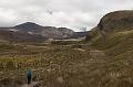 NZ-61-Bertsch-2017