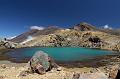 NZ-64-Bertsch-2017