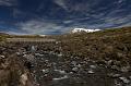 NZ-66-Bertsch-2017