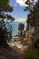 NZ-84-Bertsch-2017
