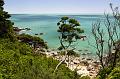 NZ-85-Bertsch-2017
