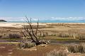 NZ-86-Bertsch-2017