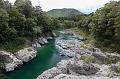 NZ-87-Bertsch-2017