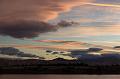 NZ-88-Bertsch-2017