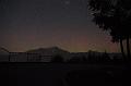 NZ-89-Bertsch-2017