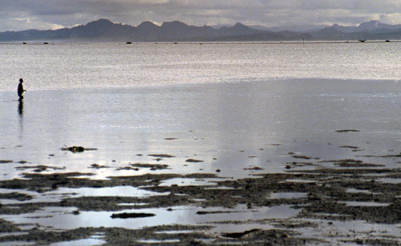 Fiji-14-Seib-1988.jpg - Seaside promenade in Suva (© Roland Seib)