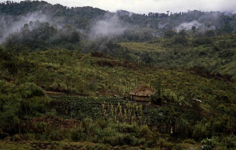 PNG3-04-Seib-1987.jpg - Photo by Roland Seib
