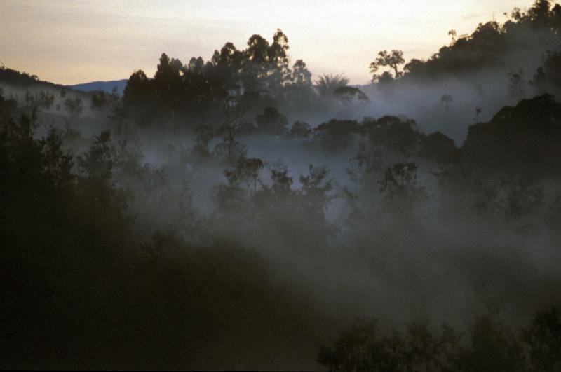 PNG3-06-Seib-1987.jpg - Early morning in the village 1987 (Photo by Roland Seib)