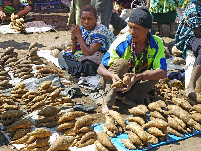 PNG3-45-Seib-2012.jpg - Sweat potato (Kaukau)(Photo by Roland Seib)
