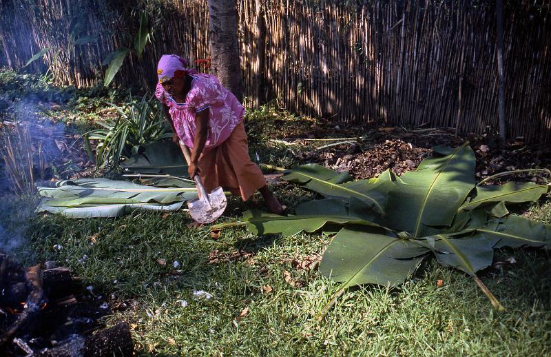 PNG3-64-Seib-1987.jpg - Preparation for a mumu (earth oven)(Photo by Roland Seib)