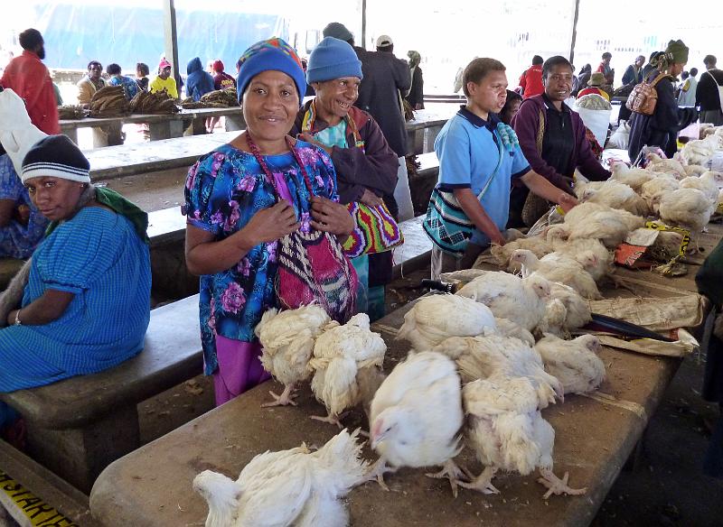 PNG3-68-Seib-2012.jpg - Planti kakaruk 2012 (Photo by Roland Seib)