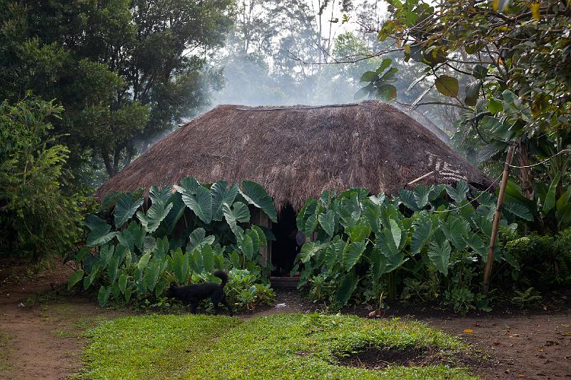 PNG3-72-Krafft-2012.jpg - House in Ogelbeng, Hagen district 2012 (Photo by Thorsten Krafft)