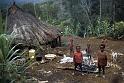 PNG3-05-Seib-1987