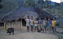 PNG3-09-Seib-1987