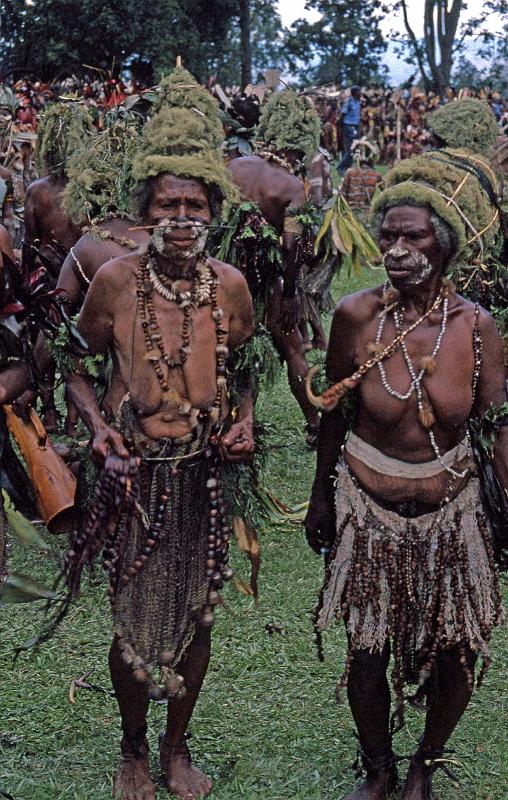 PNG4-25-Seib-2000.jpg - ditto (Photo by Roland Seib)