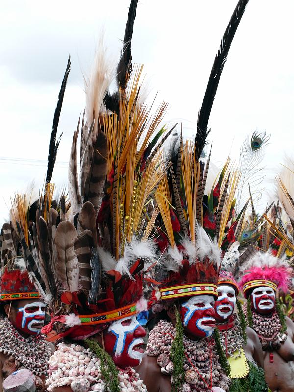 PNG4-41-Seib-2012.jpg - (Photo by Roland Seib)