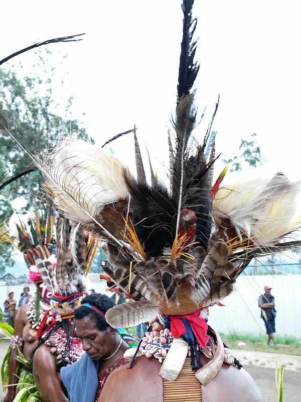 PNG4-42-Seib-2012.jpg - (Photo by Roland Seib)