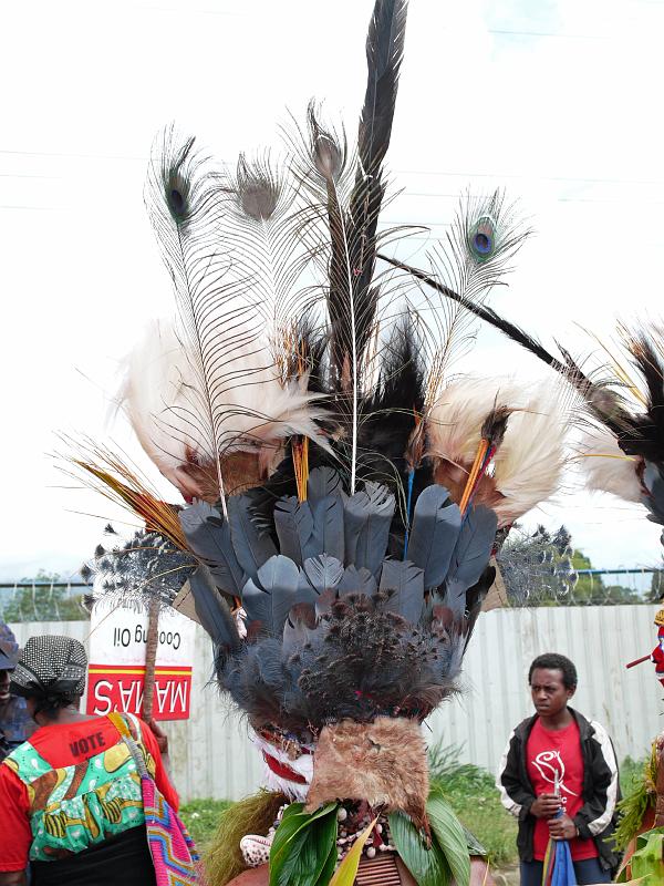 PNG4-47-Seib-2012.jpg - (Photo by Roland Seib)