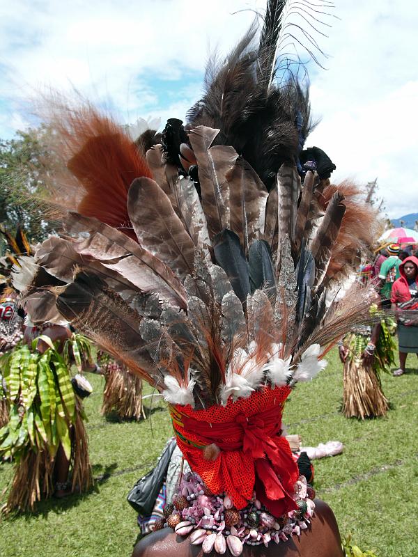 PNG4-86-Seib-2012.jpg - (Photo by Roland Seib)