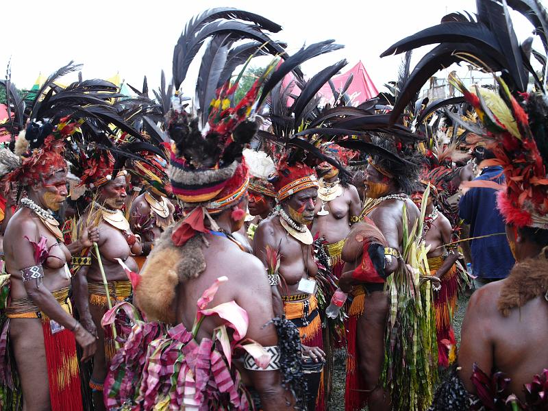 PNG4-92-Seib-2012.JPG - (Photo by Roland Seib)