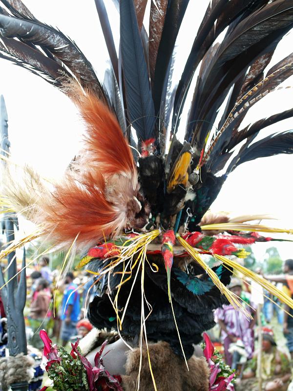 PNG4-98-Seib-2012.jpg - (Photo by Roland Seib)