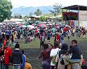 PNG4-100-Seib-2012