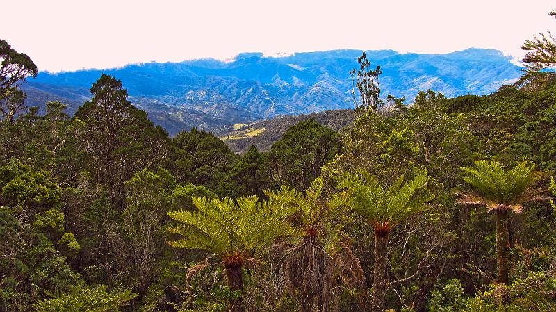 PNG5-13-Schoenherr-2012.jpg - (Photo by Till Schönherr)