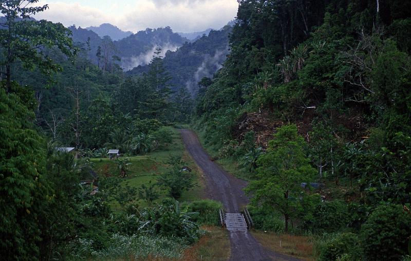 PNG6-035-Seib-1999.jpg - Jungle, Ramu Highway, Madang Province 1999 (Photo by Roland Seib)