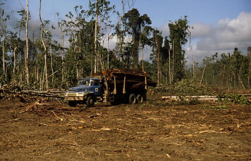 PNG6-042-Seib-1987.jpg - ditto (Photo by Roland Seib)