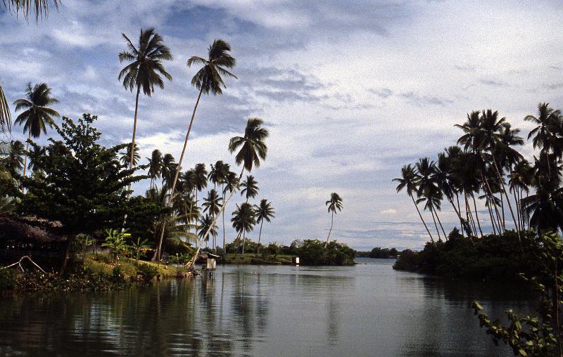 PNG6-059-Seib-1987.jpg - Near Madang (Photo by Roland Seib)