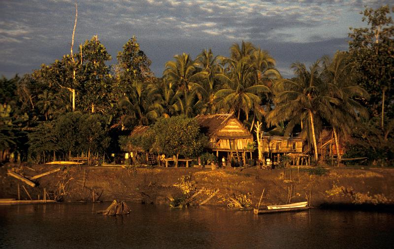 PNG6-080-Seib-1997.jpg - Sunrise, Middle Sepik River (Photo by Roland Seib)