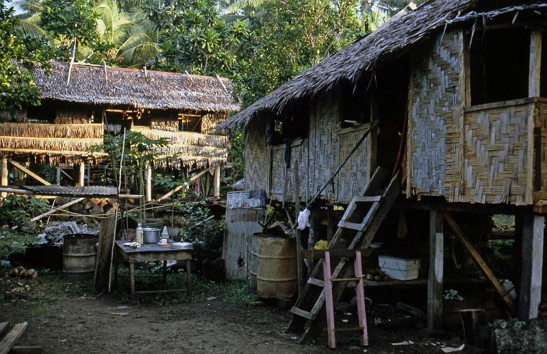 PNG6-100-Seib-1987.jpg - ibid. (Photo by Roland Seib)