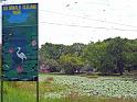 PNG6-049-Seib-2012