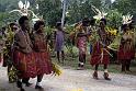 PNG6-060-Seib-1987