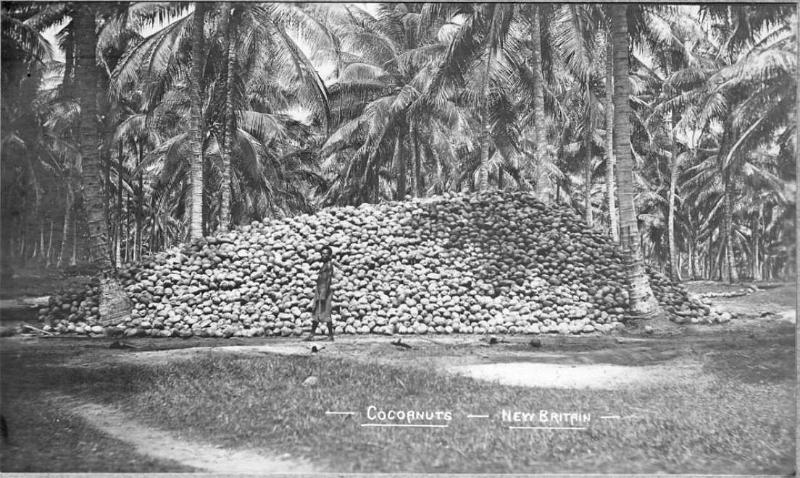 PNG7-23.jpg - Coconut plantation 1905 (source: https://sites.google.com/site/rabaulhistory/; 2.2.2013)