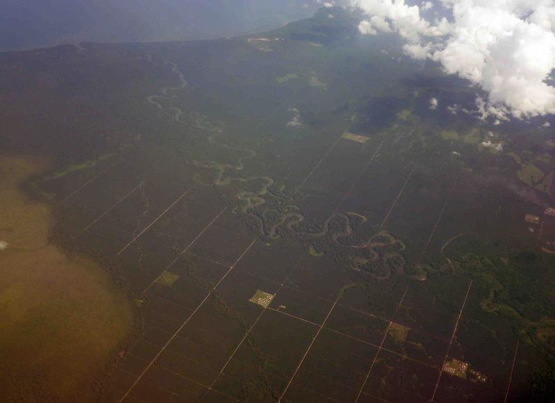 PNG8-02-Seib-2012.jpg - Hoskins palm oil project, West New Britain (Photo by Roland Seib)