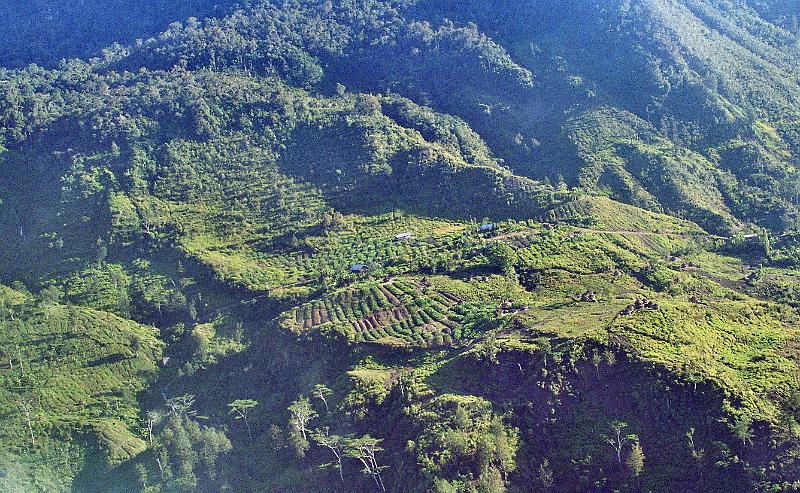 Papua1-12-Zoellner.jpg - Sweet potato gardens in Angguruk mountain area (2011)(Photo by Siegfried Zöllner)