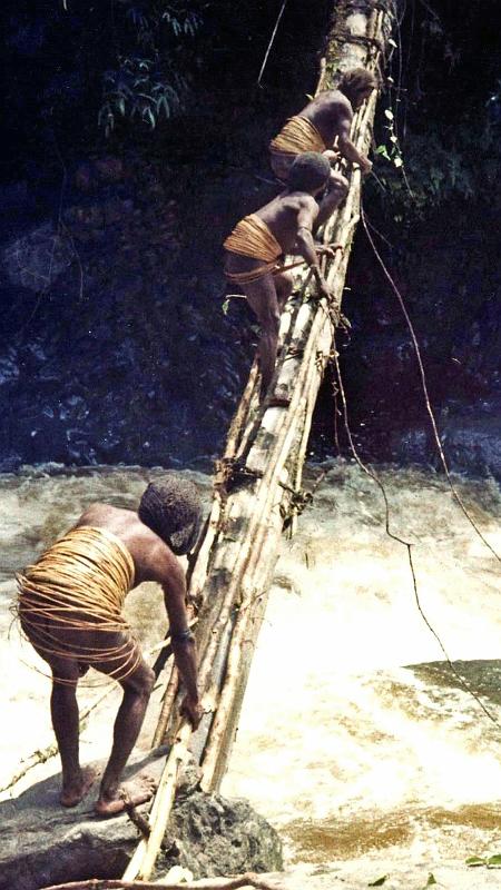 Papua1-15-Zoellner.jpg - Bridge in Pondeng valley, Yahukimo regency, Highlands (1961)(Photo by Siegfried Zöllner)