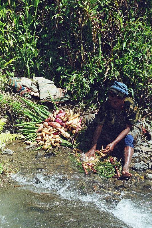 Papua1-17-Zoellner.jpg - Yali women cleaning sweet potatoes in a stream near Angguruk, Yahukimo regency, Highlands (2011)(Photo by Siegfried Zöllner)