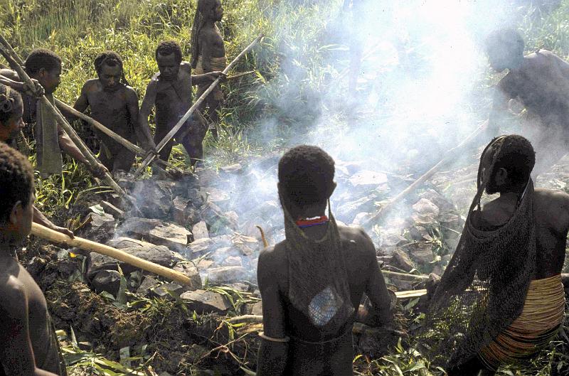 Papua1-20-Zoellner.jpg - Yali men preparing a cooking pit with hot stones, Angguruk, Yahukimo regency, Highlands (1993)(Photo by Siegfried Zöllner)