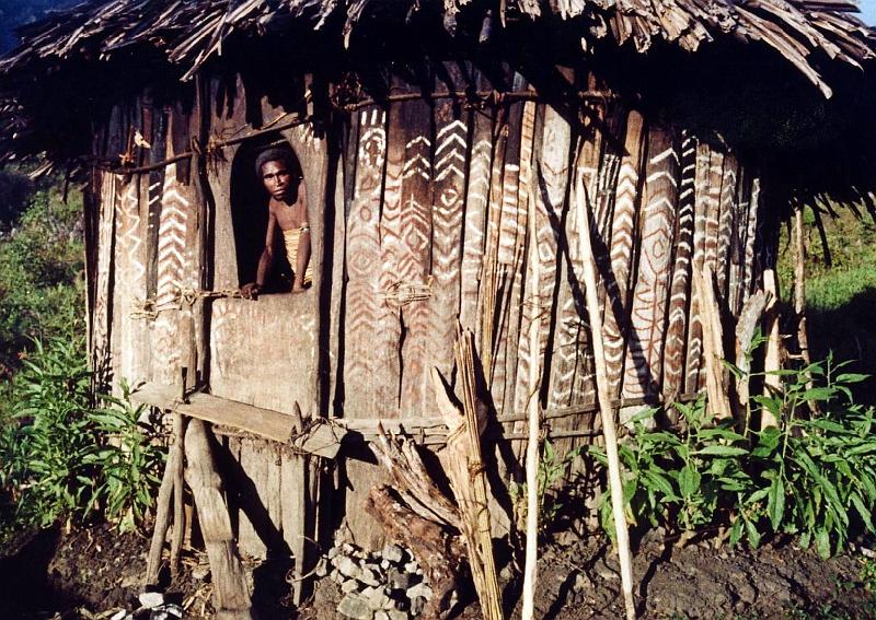 Papua1-21-Zoellner.JPG - Men’s house, yowi, in Waniok, Yahukimo regency, Highlands. The ornaments on the wall make it recognizable as a sacred house  (1961)(Photo by Siegfried Zöllner)