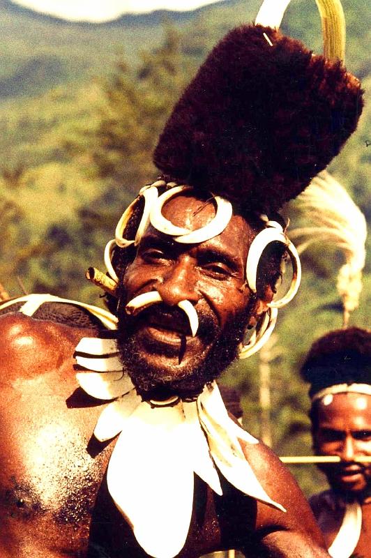 Papua1-42-Zoellner.JPG - Yali man (Kolubag), decorated for a dancing feast, Angguruk, Yahukimo regency, Highlands (1967)(Photo by Siegfried Zöllner)
