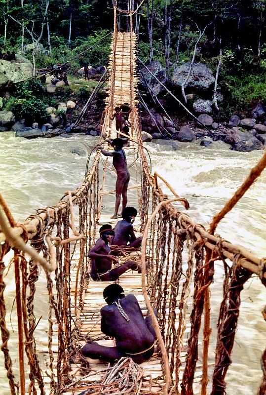 Papua1-45-Zoellner.jpg - Dani men building a bridge across the Balim river near Kurima, Yahukimo regency, Highlands (1961)(Photo by Siegfried Zöllner)